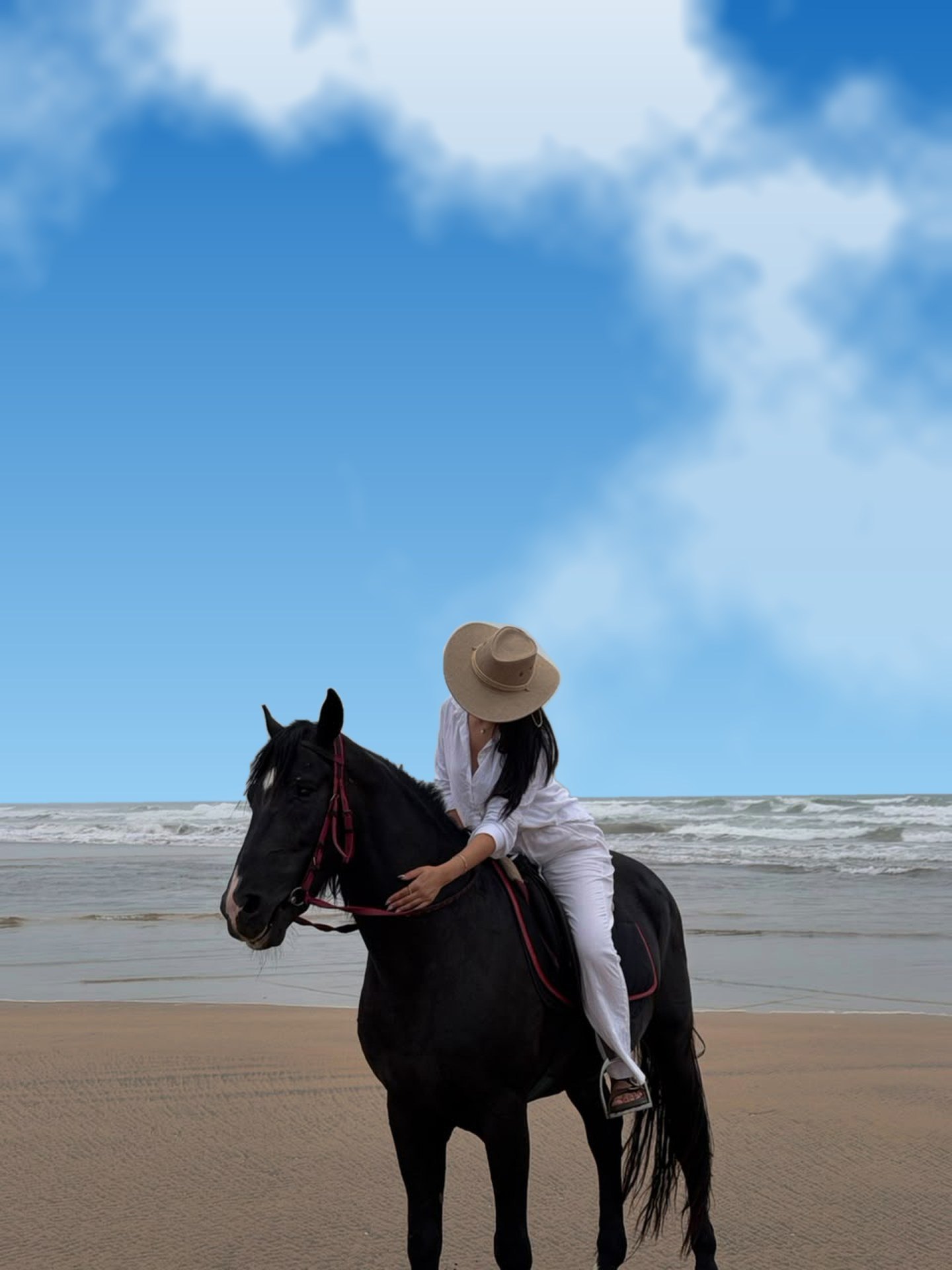 Une cavalière et son cheval noir sur la plage, face à l'océan